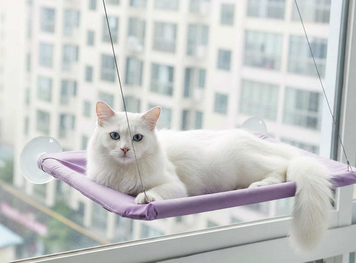 Hamac pour chat Suspendu