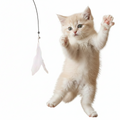 Jouet de pêche pour Chat