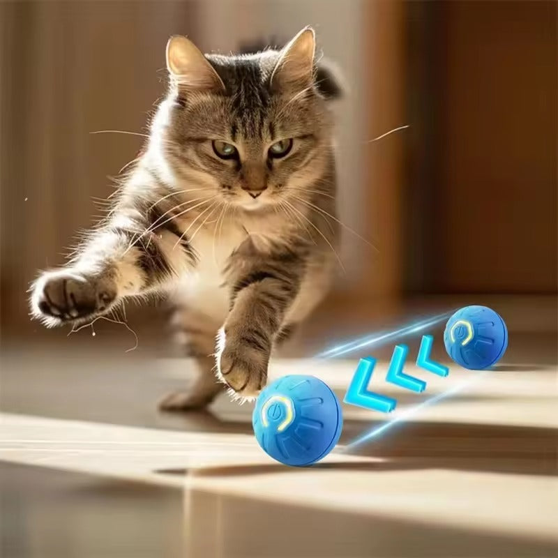 Jouets intelligent électronique