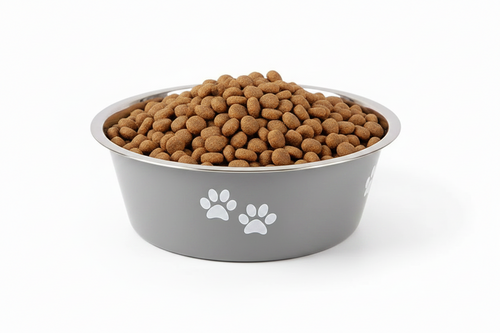 Bol pour croquettes pour chiens